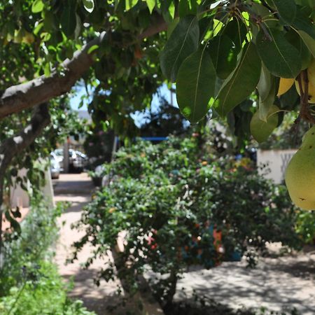 Villa Hibisco San Vito Lo Capo Dış mekan fotoğraf