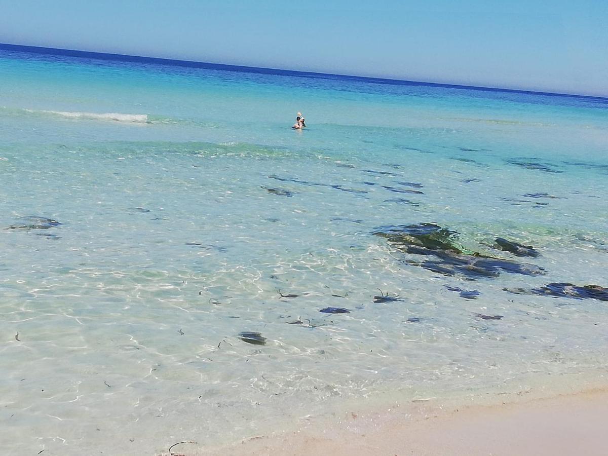Villa Hibisco San Vito Lo Capo Dış mekan fotoğraf