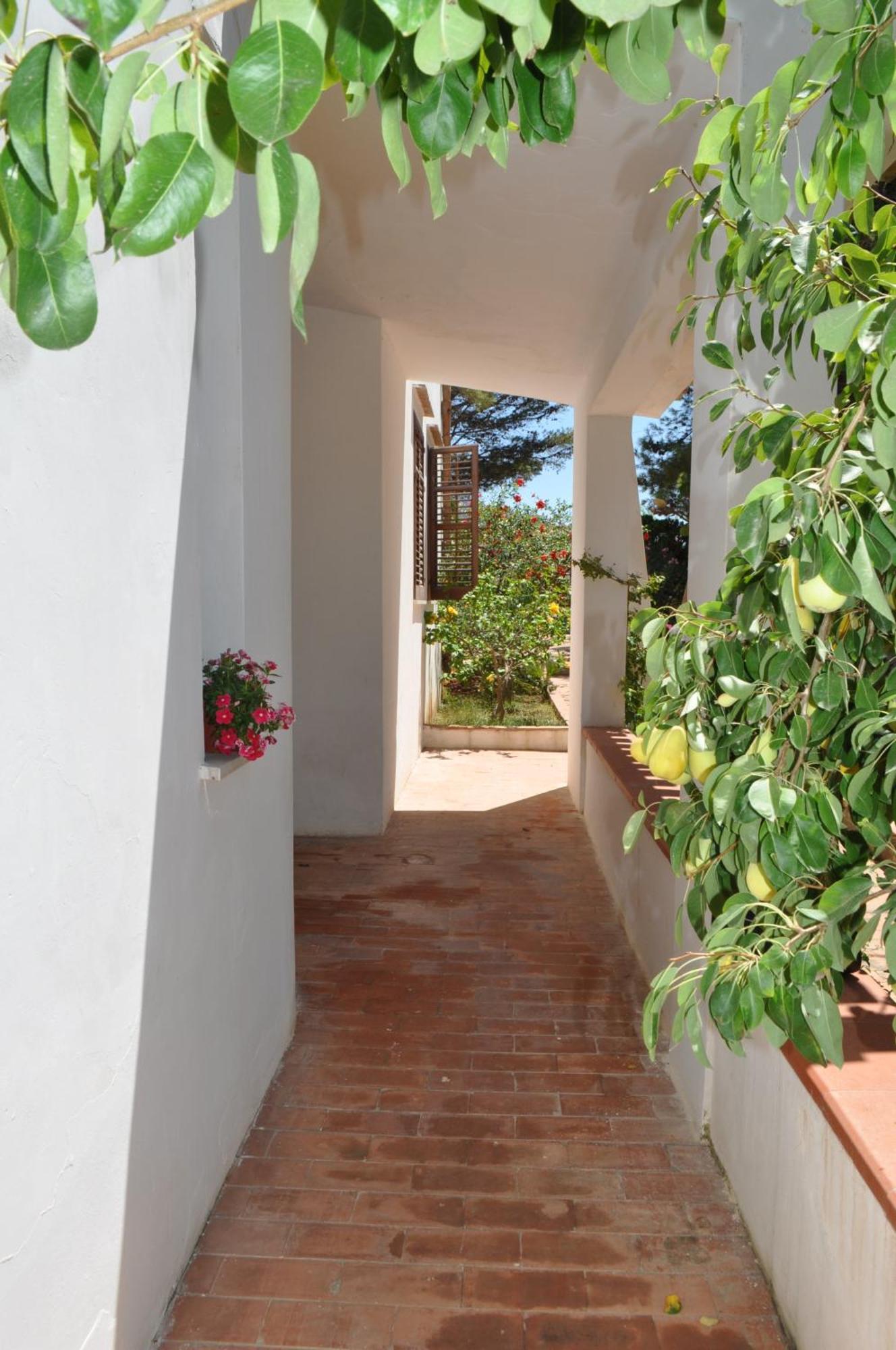 Villa Hibisco San Vito Lo Capo Dış mekan fotoğraf