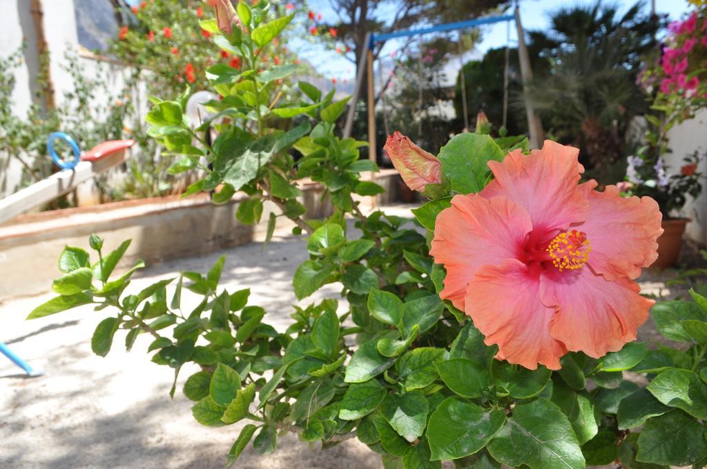 Villa Hibisco San Vito Lo Capo Dış mekan fotoğraf