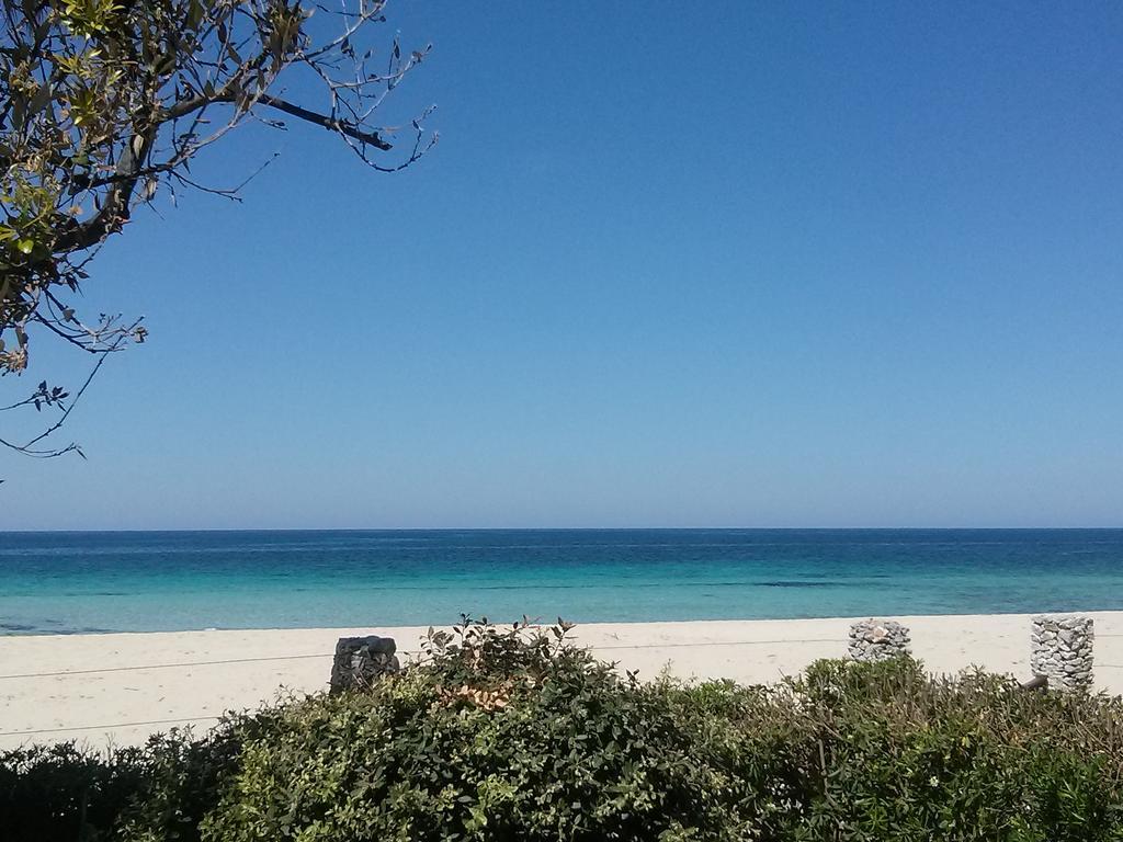 Villa Hibisco San Vito Lo Capo Dış mekan fotoğraf